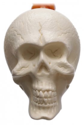 AKB Meerschaum: Carved Skull (Auay) (with Case)